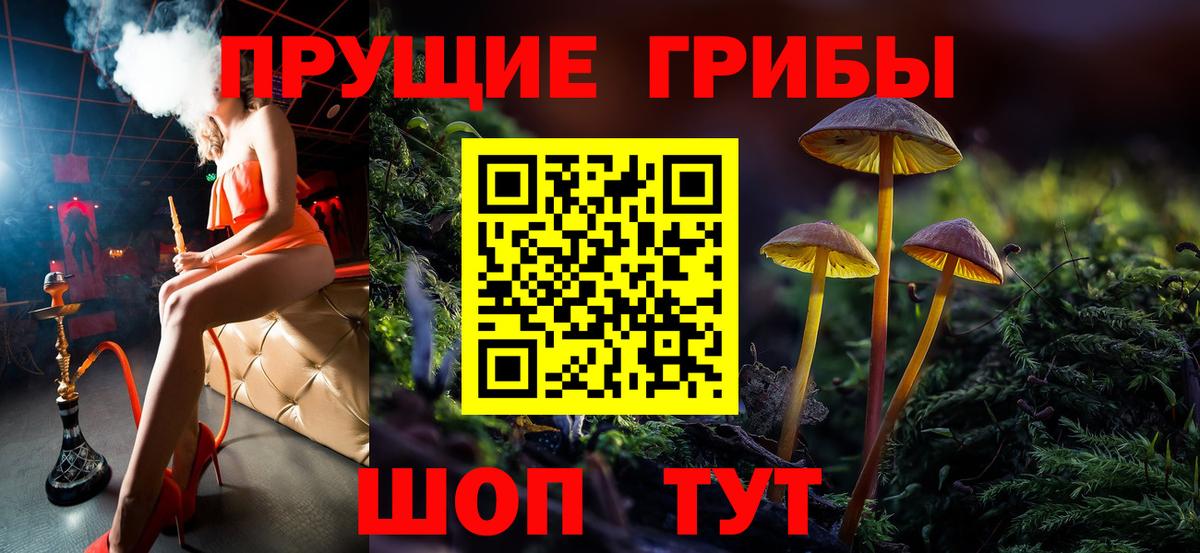 Гуково  Псилоцибиновые грибы мухоморы  Псилоцибиновые грибы Cubensis  Вход с VPN 