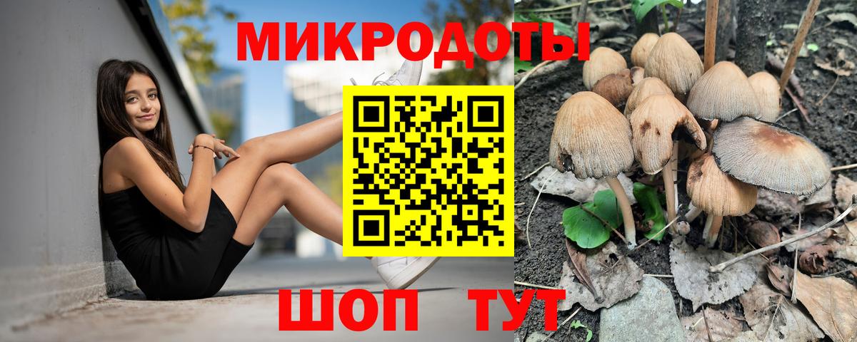 Галлюциногенные грибы ЛСД Гуково